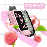 Oxbar Prime 25000 Puffs